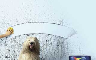 Краска Dulux: палитра цветов, ослепительно белые моющиеся составы для обоев, кухни и ванной