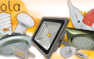 Светодиодные лампы Ecola: LED-лампы, характеристики светильника на прищепке